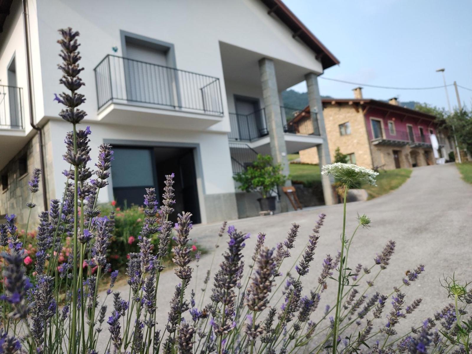 Ca' Dei Vescu - Villetta Per Vacanze Demonte Exteriér fotografie